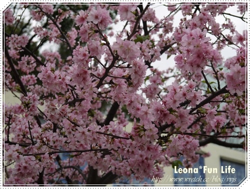 20251027_-26 20251027_-26