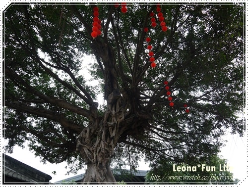 20251027_-27 20251027_-27