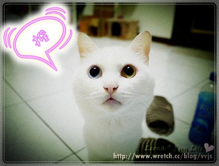 20251027_-48 20251027_-48