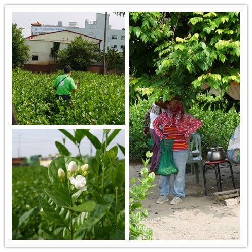 20251027_-236 20251027_-236