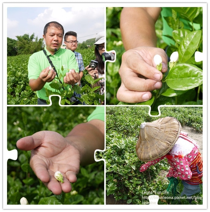 20251027_-237 20251027_-237