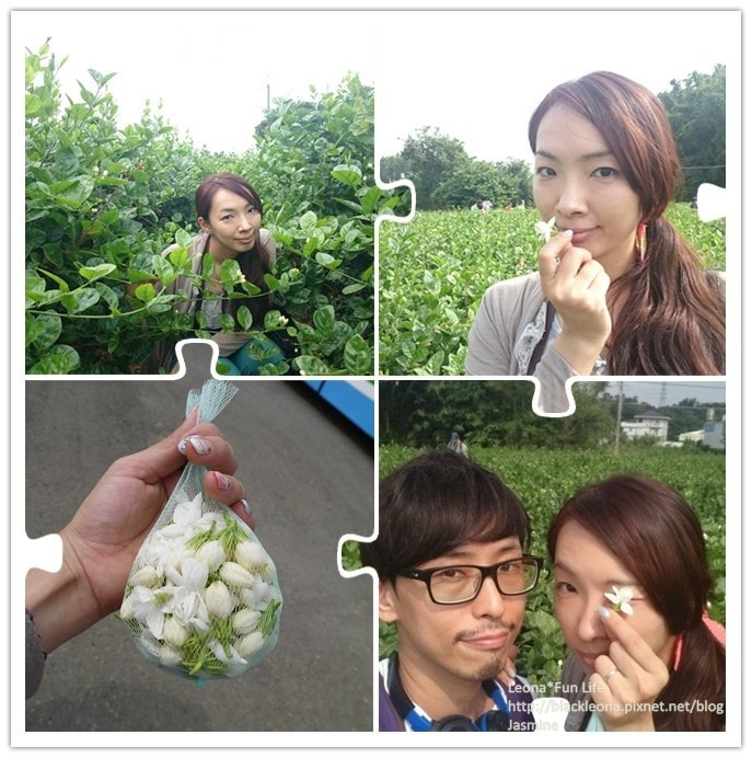 20251027_-238 20251027_-238