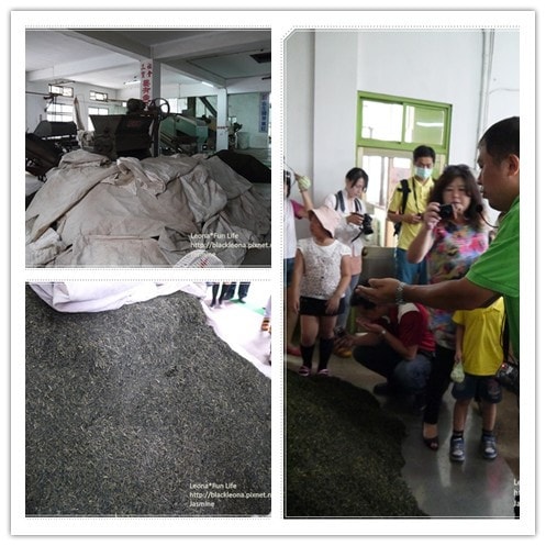 20251027_-242 20251027_-242