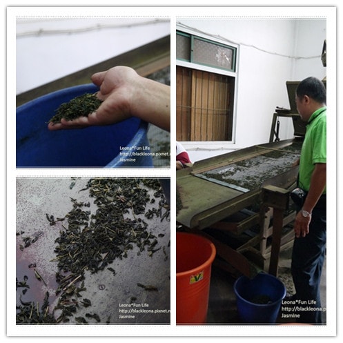 20251027_-243 20251027_-243