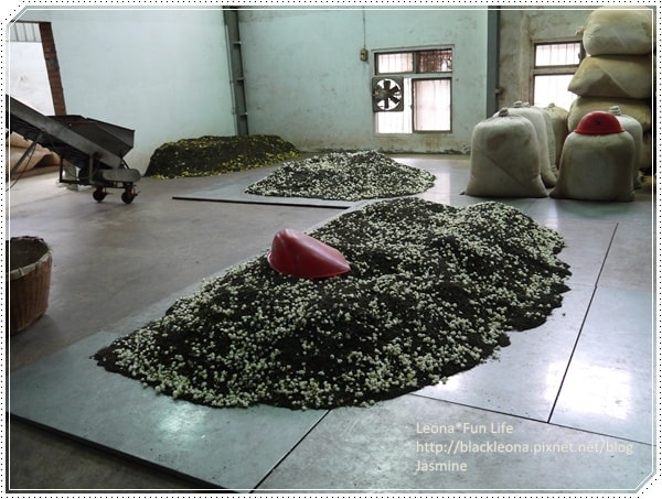 20251027_-244 20251027_-244