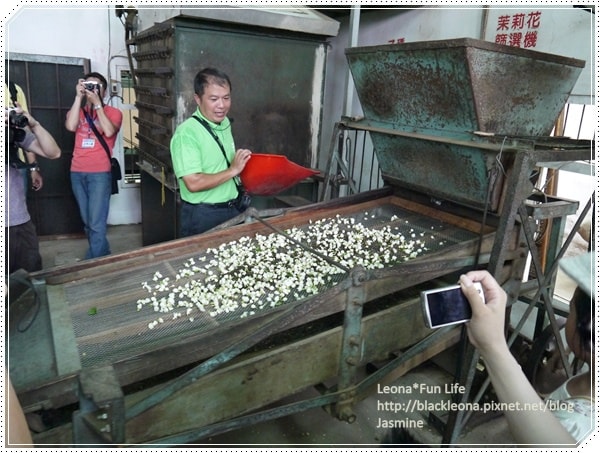 20251027_-245 20251027_-245