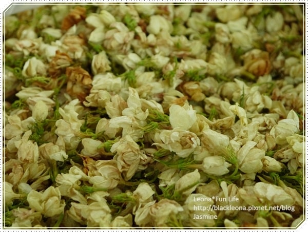 20251027_-246 20251027_-246