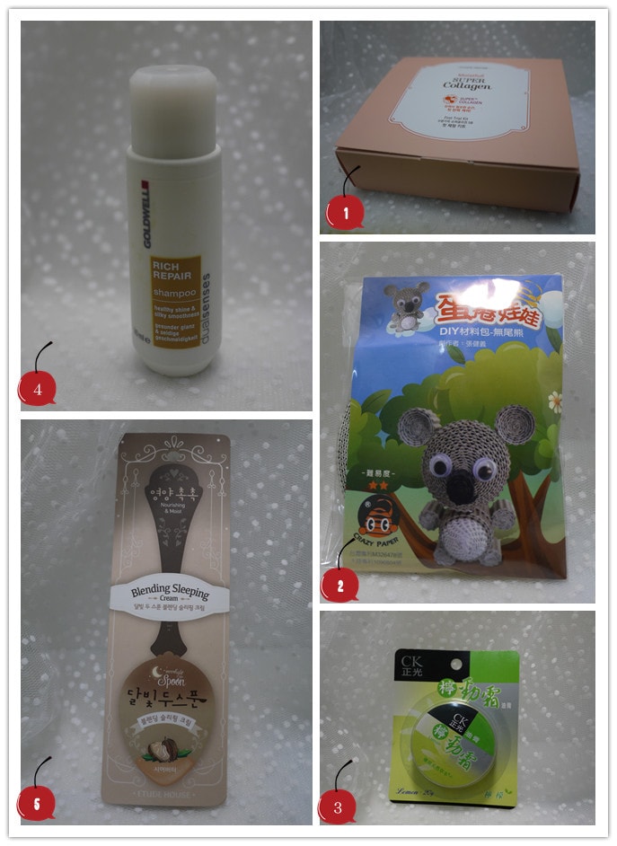 20251027_-268 20251027_-268