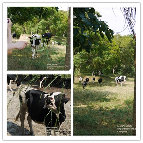 20251027_-16 20251027_-16