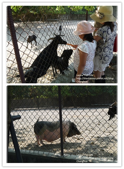 20251027_-17 20251027_-17