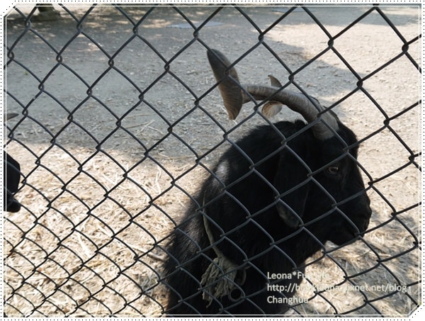 20251027_-18 20251027_-18