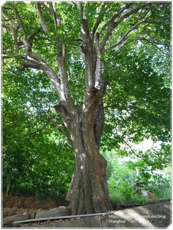 20251027_-23 20251027_-23