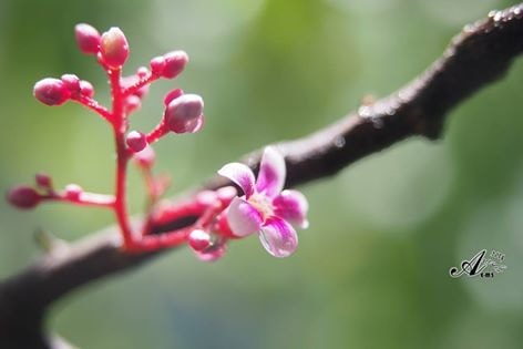 20251027_-29 20251027_-29