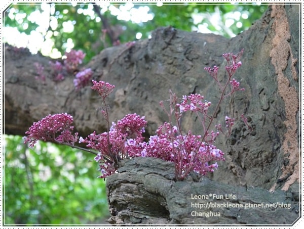 20251027_-30 20251027_-30