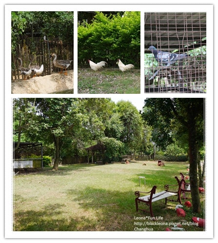 20251027_-9 20251027_-9