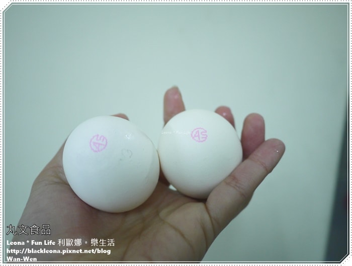 20251027_-37 20251027_-37