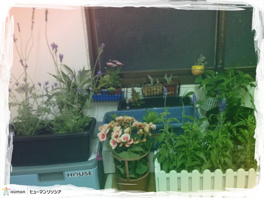 20251027_-245 20251027_-245