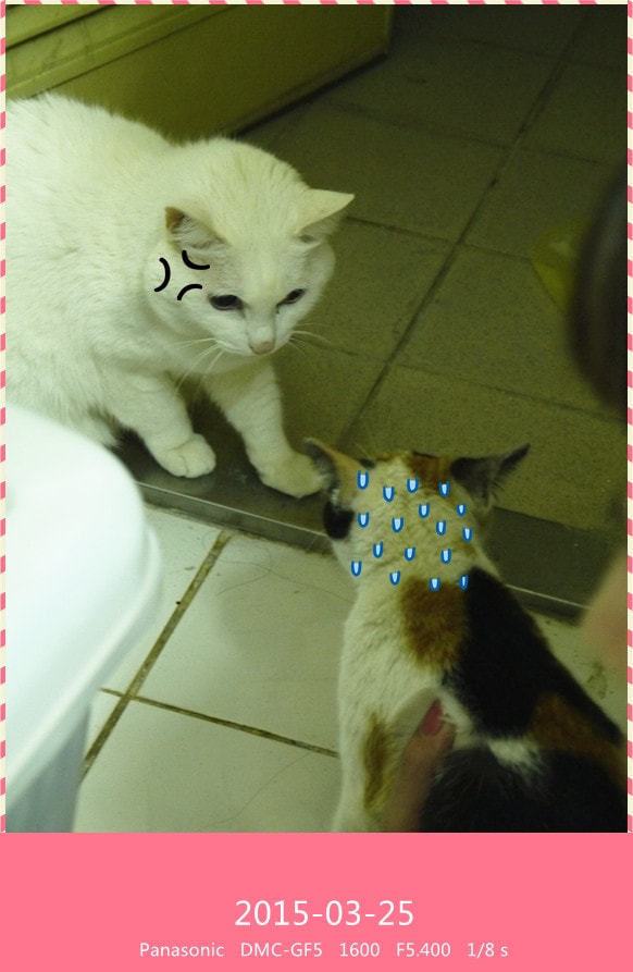 20251027_-247 20251027_-247