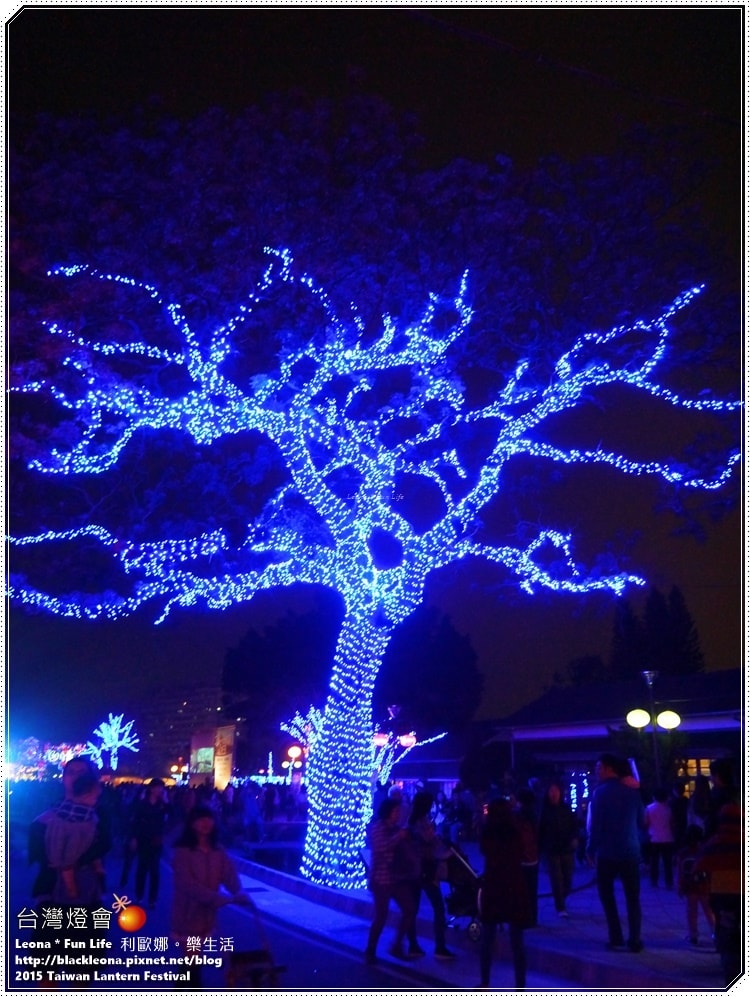 20251027_-35 20251027_-35