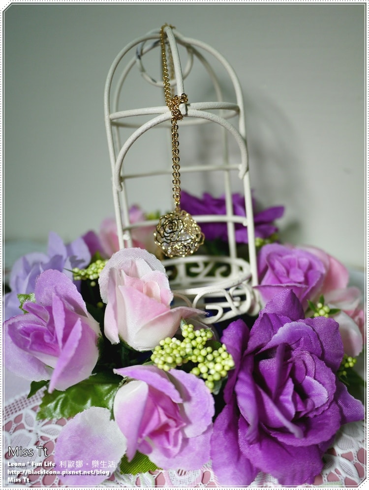 20251027_-5 20251027_-5