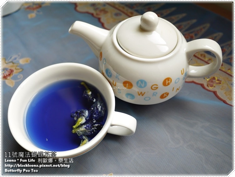 20251027_-113 20251027_-113