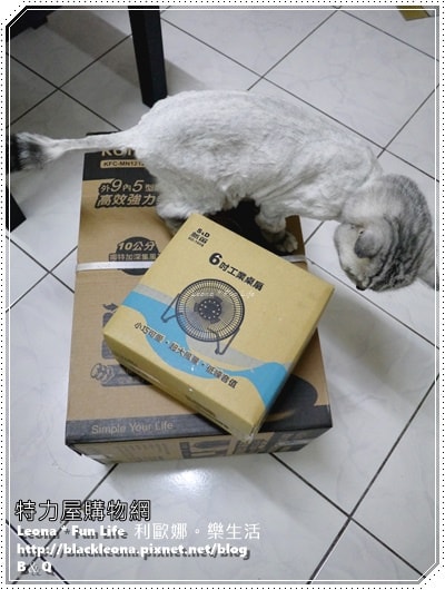 20251027_-129 20251027_-129