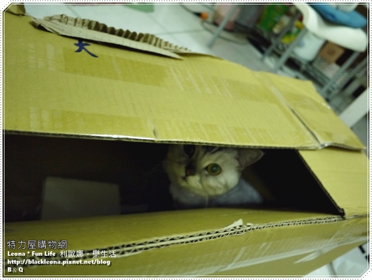 20251027_-138 20251027_-138