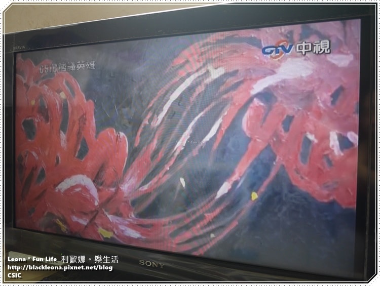 20251027_-263 20251027_-263