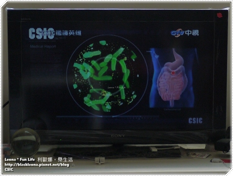 20251027_-267 20251027_-267