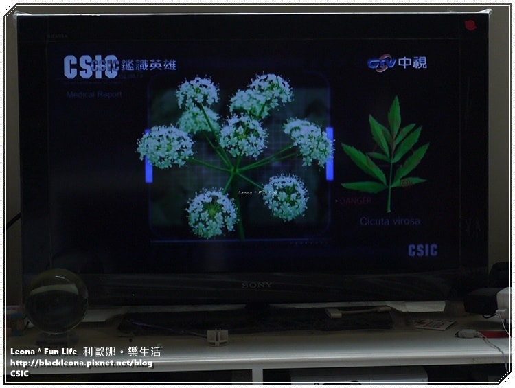 20251027_-268 20251027_-268