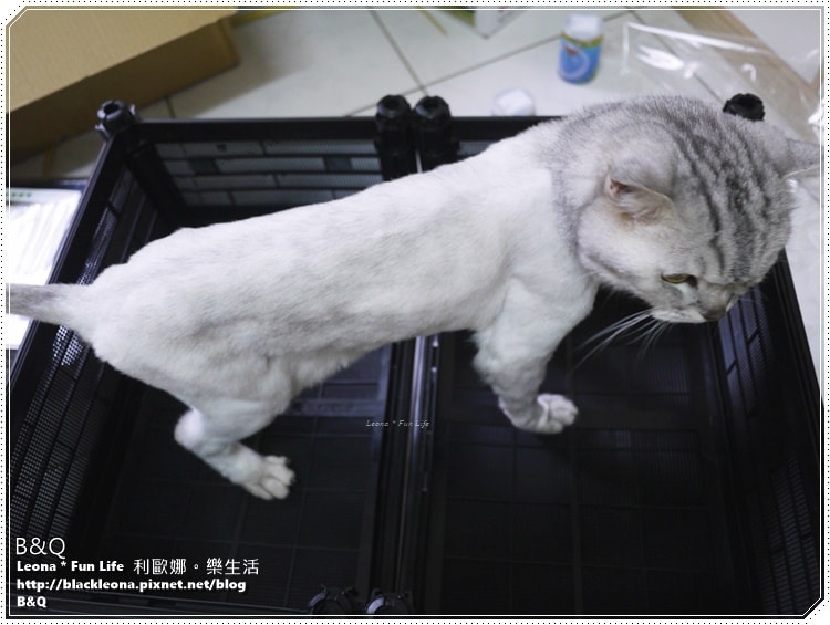 20251027_-105 20251027_-105