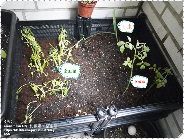 20251027_-108 20251027_-108