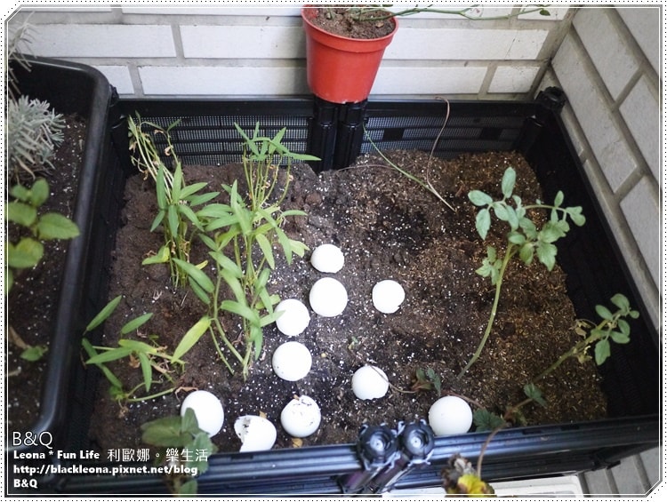 20251027_-113 20251027_-113