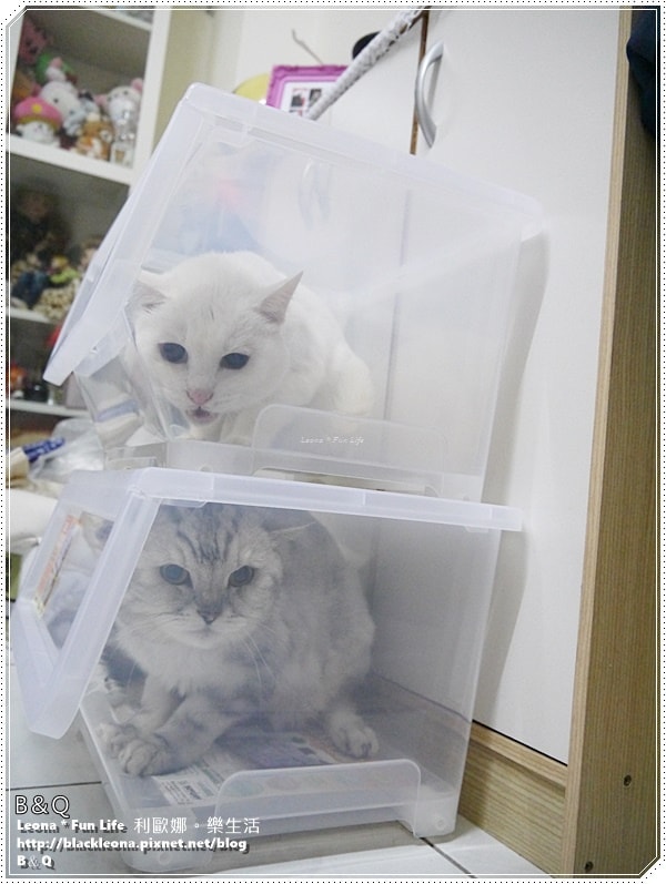 20251027_-187 20251027_-187