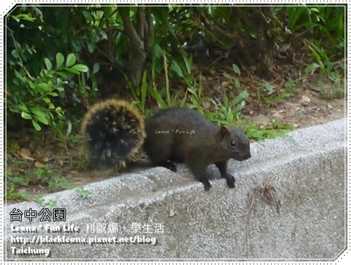 20251027_-42 20251027_-42