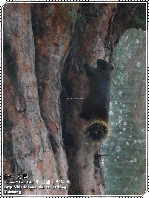 20251027_-43 20251027_-43