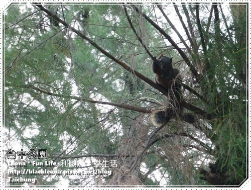 20251027_-44 20251027_-44