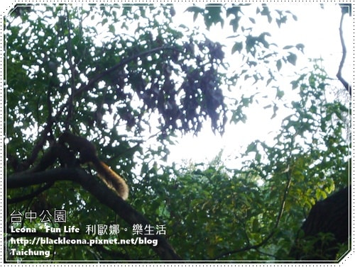 20251027_-45 20251027_-45