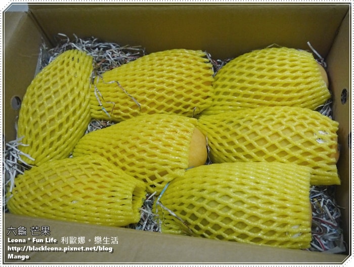 20251027_-48 20251027_-48