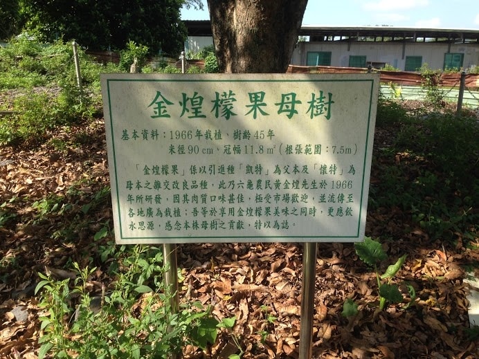 20251027_-49 20251027_-49