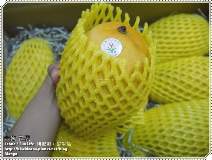 20251027_-50 20251027_-50