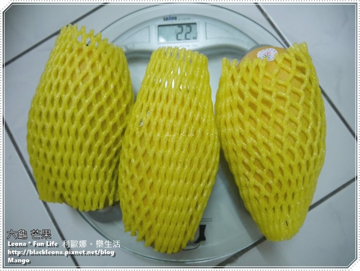 20251027_-51 20251027_-51