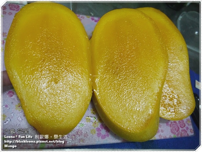 20251027_-55 20251027_-55