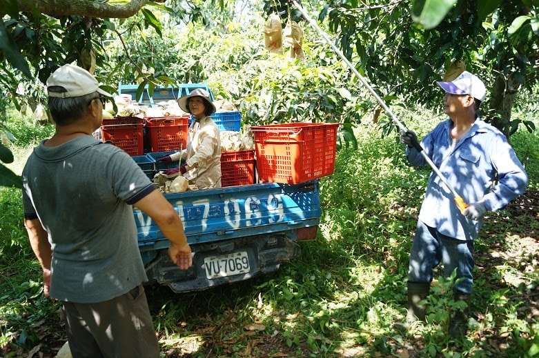 20251027_-68 20251027_-68