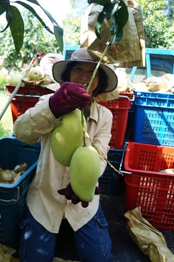 20251027_-69 20251027_-69