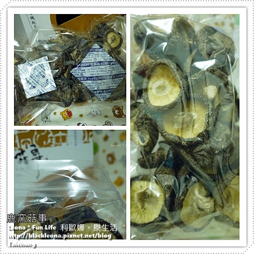 20251027_-141 20251027_-141