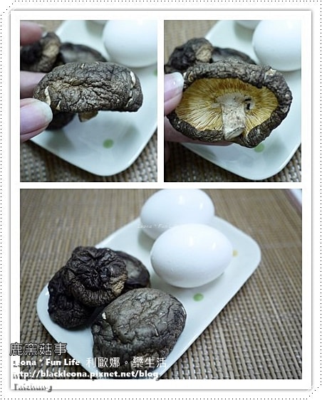 20251027_-142 20251027_-142