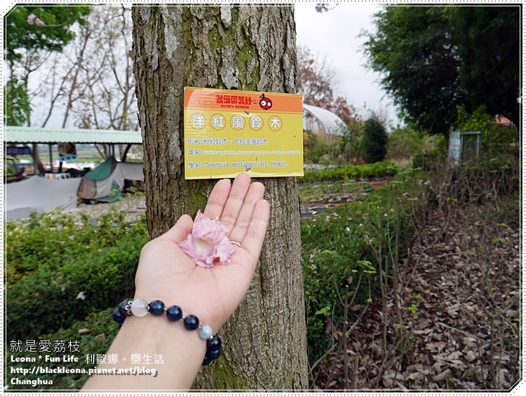 20251027_-171 20251027_-171