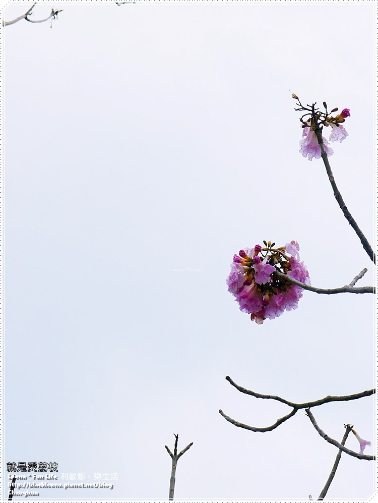 20251027_-173 20251027_-173