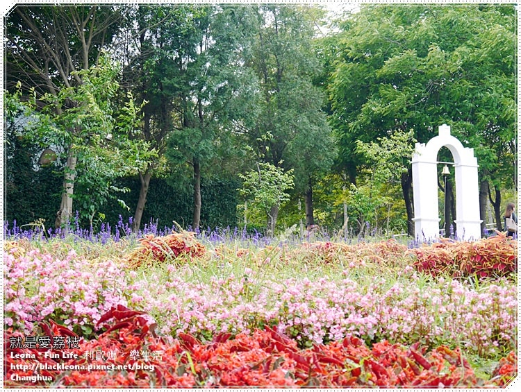 20251027_-174 20251027_-174